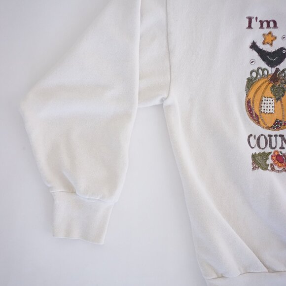 Vintage Delta Country Pumpkin Sweatshirt White 90s Fall Grandmacore Cabincore XL - Picture 7 of 11